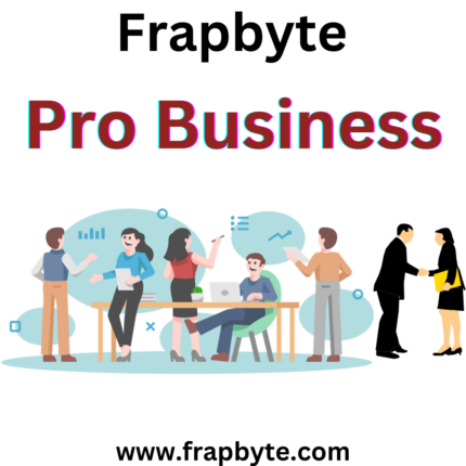 Pro Business Website