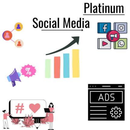 Platinum Social Media Portal